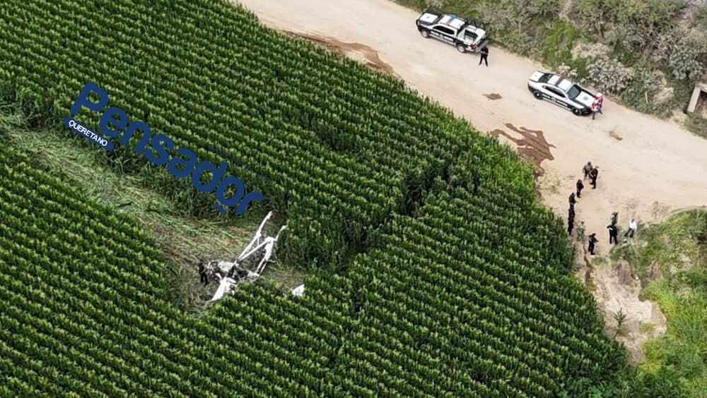 Piloto sobrevive a desplome de avioneta fumigadora en zona agrícola de San Juan del Río Piloto sobrevive a desplome de avioneta fumigadora en zona agrícola de San Juan del Río