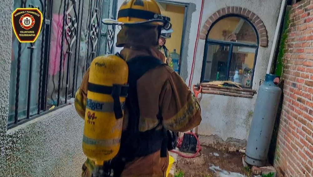 Atienden bomberos reporte de enjambre de avispas en Club de Golf de Tequisquiapan Atienden bomberos reporte de enjambre de avispas en Club de Golf de Tequisquiapan