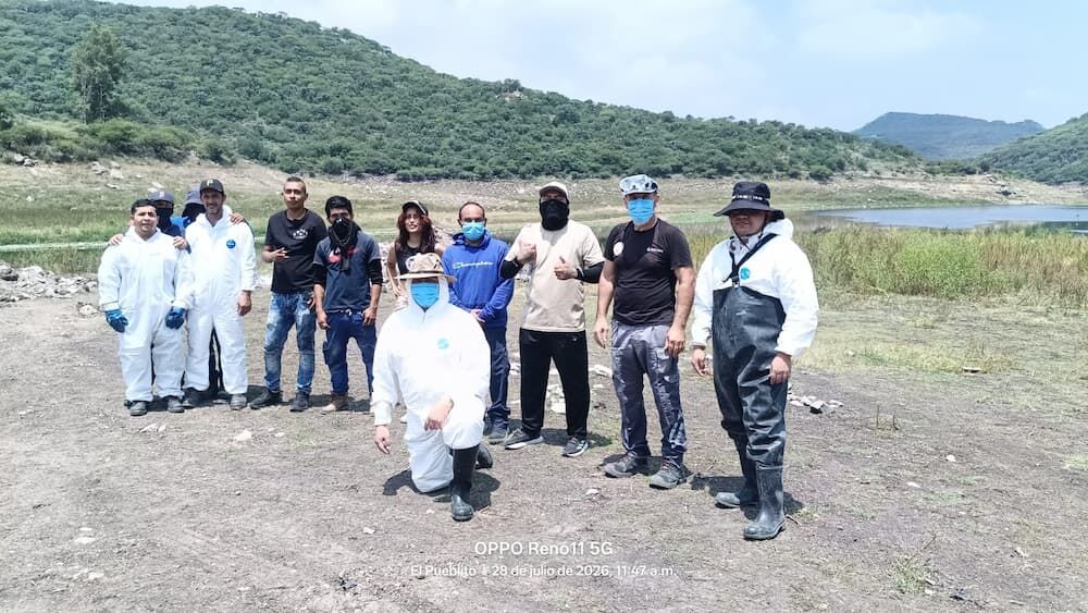 Concluye Conagua la recolección y disposición final de peces en la presa El Batán Concluye Conagua la recolección y disposición final de peces en la presa El Batán