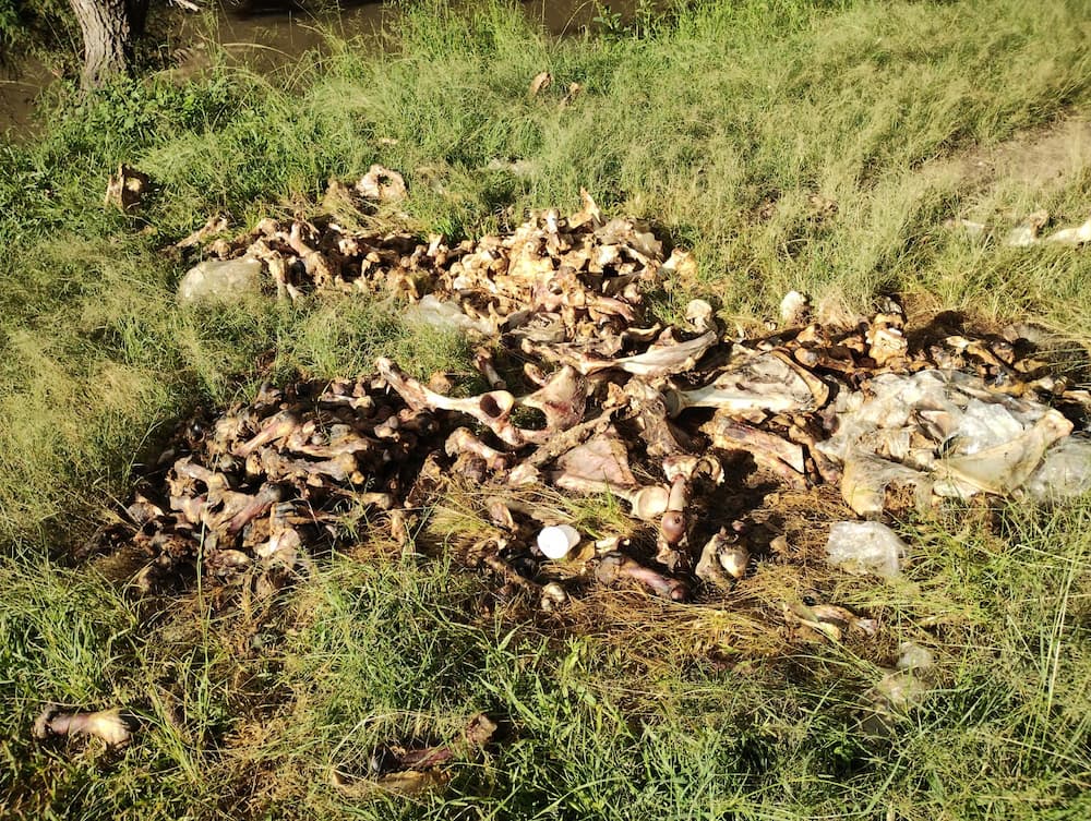 Denuncian foco de infección en La Magdalena por restos de carne y huesos
