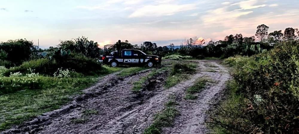 Detenido por portación de arma de fuego durante operativo en San Juan del Río