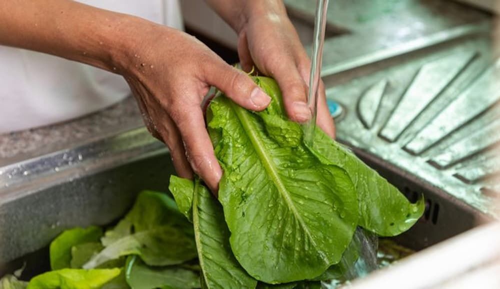 Fortalece SESA medidas para la preparación higiénica de los alimentos y la prevención de enfermedades Fortalece SESA medidas para la preparación higiénica de los alimentos y la prevención de enfermedades
