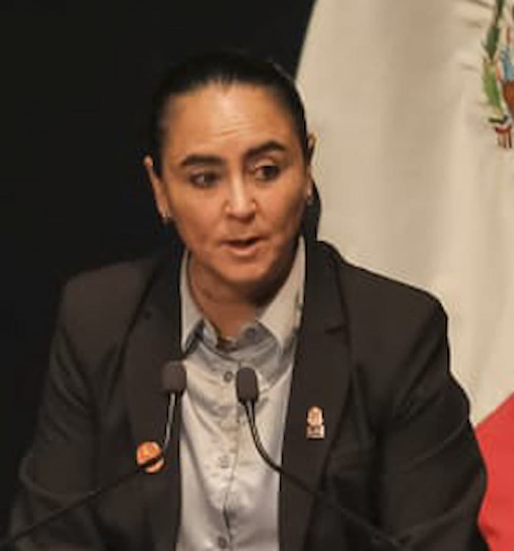 Intervención de la diputada Teresita Calzada Rovirosa, en representación del Grupo Legislativo de Movimiento Ciudadano, con motivo del Segundo Informe de la LXI Legislatura del Estado de Querétaro Intervención de la diputada Teresita Calzada Rovirosa, en representación del Grupo Legislativo de Movimiento Ciudadano, con motivo del Segundo Informe de la LXI Legislatura del Estado de Querétaro