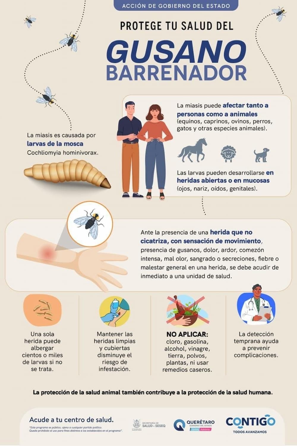 Mantiene SESA vigilancia epidemiológica ante casos de miasis humana por gusano barrenador Mantiene SESA vigilancia epidemiológica ante casos de miasis humana por gusano barrenador
