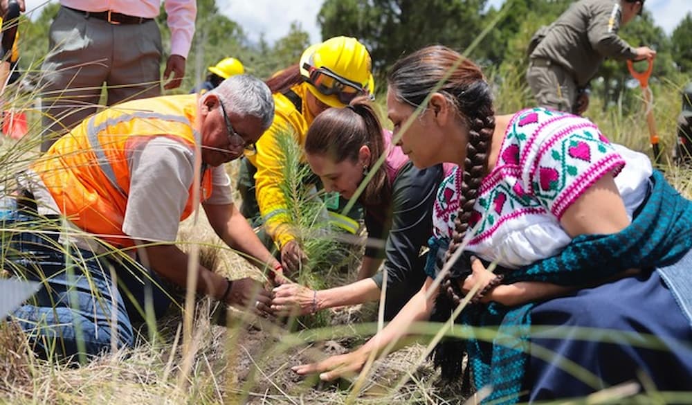 Presidenta Claudia Sheinbaum encabeza inicio de la Jornada Nacional de Reforestación 2026 Presidenta Claudia Sheinbaum encabeza inicio de la Jornada Nacional de Reforestación 2026