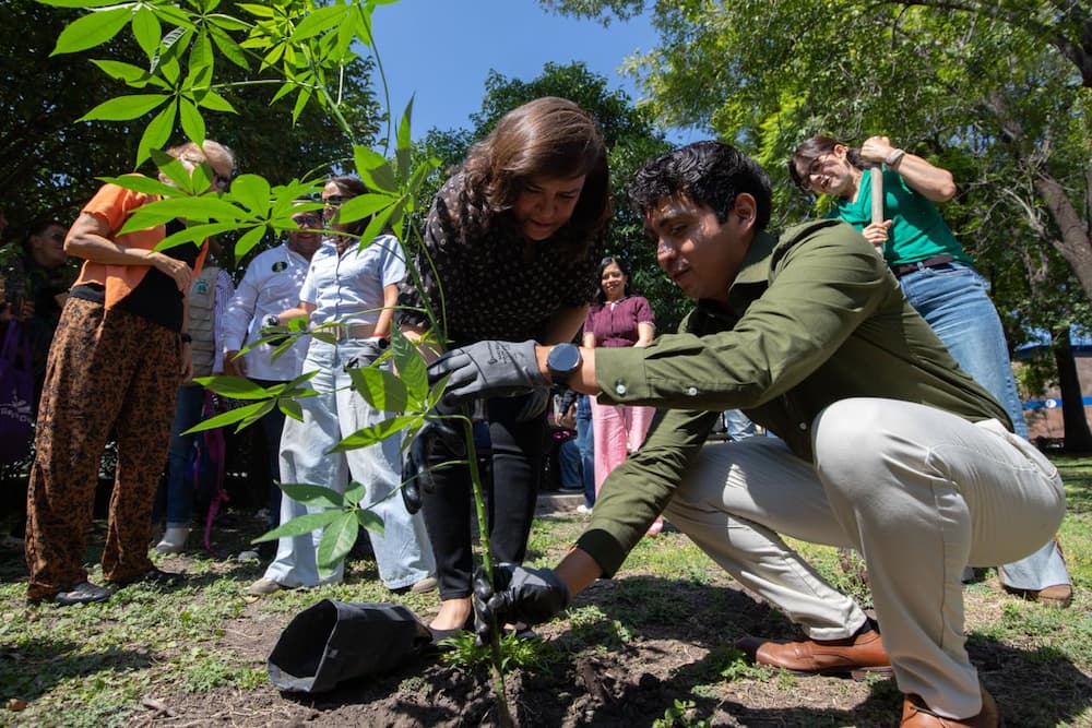 Reintegra UAQ vegetación en sus campus con más de 500 árboles nativos Reintegra UAQ vegetación en sus campus con más de 500 árboles nativos