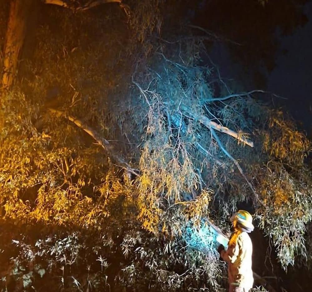 Retiran rama de árbol que representaba riesgo en camino a Quintanares, Pedro Escobedo Retiran rama de árbol que representaba riesgo en camino a Quintanares, Pedro Escobedo