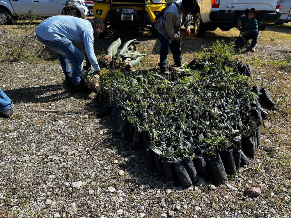 San Juan del Río se posiciona con proyecto ambiental de relevancia nacional San Juan del Río se posiciona con proyecto ambiental de relevancia nacional
