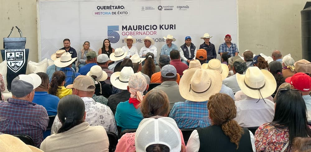 Apoya SEDEA con semilla para cultivos forrajeros en Huimilpan Apoya SEDEA con semilla para cultivos forrajeros en Huimilpan