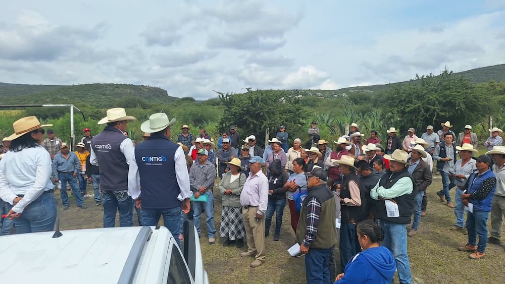 Entrega SEDEA semilla forrajera en municipios del semidesierto Entrega SEDEA semilla forrajera en municipios del semidesierto