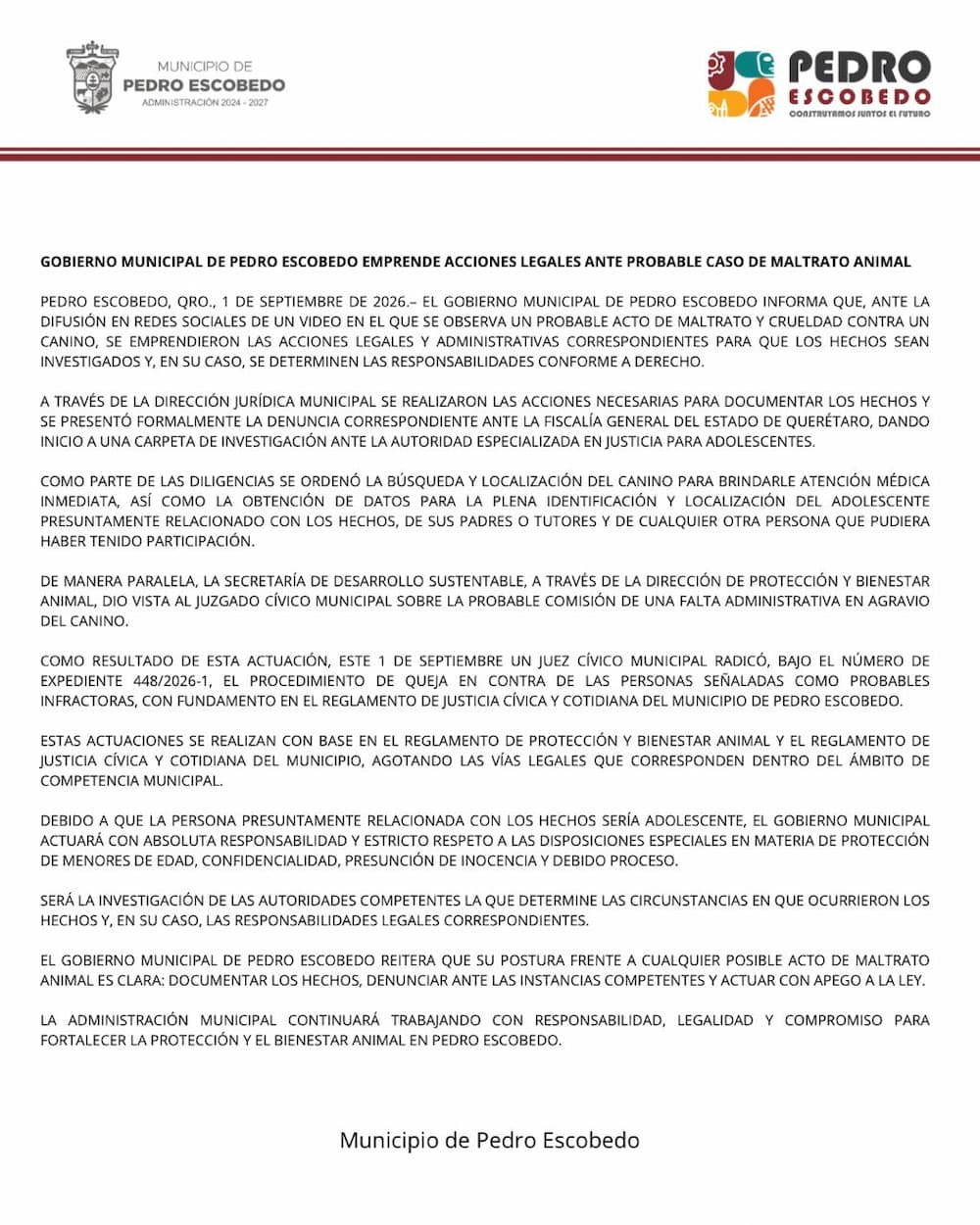Pedro Escobedo emprende acciones legales por probable maltrato animal contra un canino Pedro Escobedo emprende acciones legales por probable maltrato animal contra un canino
