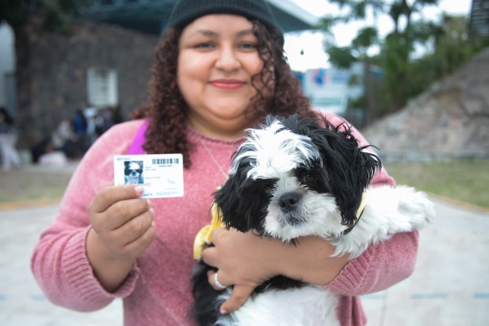 Entrega AMEQ más de 300 tarjetas Qrobus Petfriendly Entrega AMEQ más de 300 tarjetas Qrobus Petfriendly