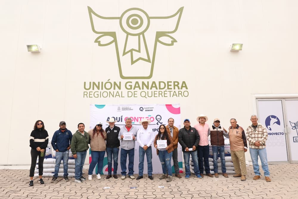 Entrega SEDEA suplemento alimentario a cunicultores. Entrega SEDEA suplemento alimentario a cunicultores.