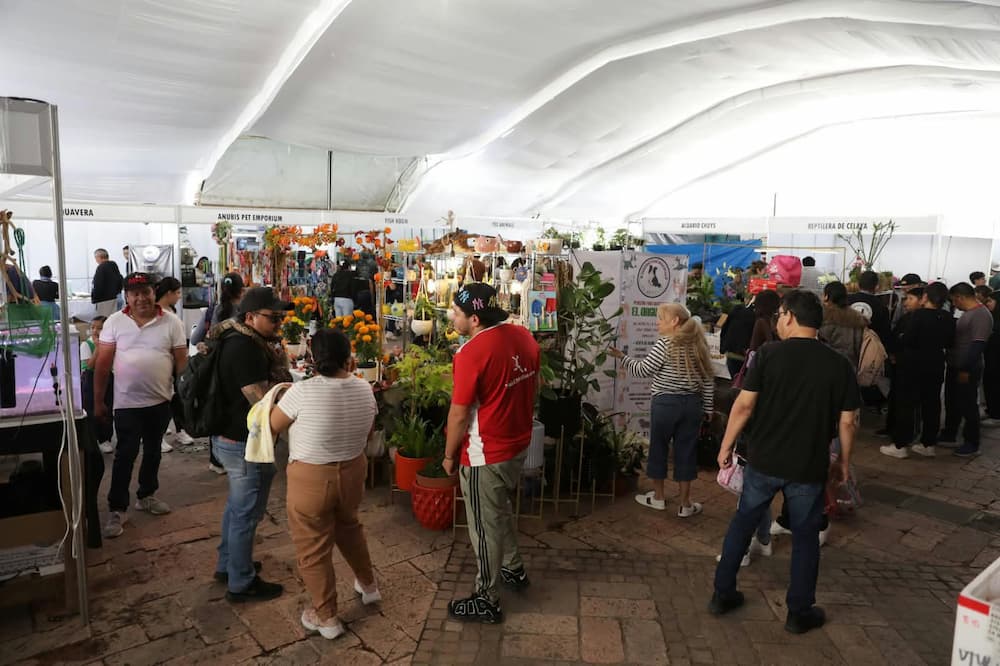 Expo Acuario San Juan del Río 2026 reúne a cerca de 26 mil personas en el Jardín Independencia Expo Acuario San Juan del Río 2026 reúne a cerca de 26 mil personas en el Jardín Independencia