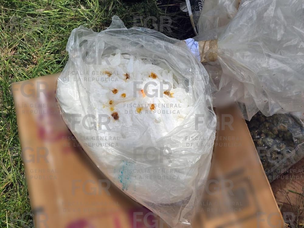 FGR incinera mas de 186 kilos de narcoticos asegurados en Queretaro1