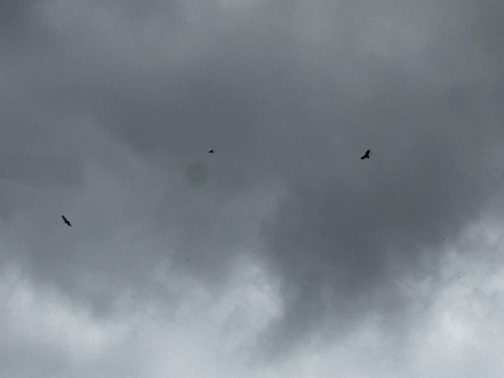Gobernador pide a la población tomar precauciones ante lluvias previstas para este fin de semana Gobernador pide a la población tomar precauciones ante lluvias previstas para este fin de semana